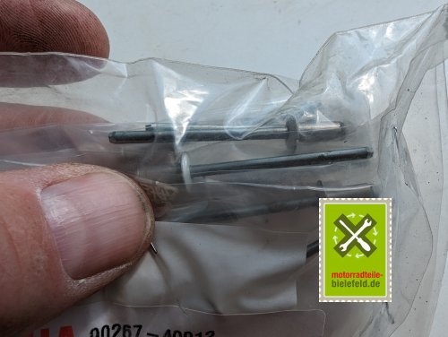 PXL_20240523_094917445